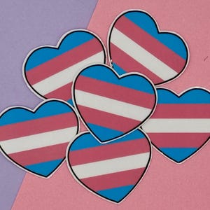 Trans Herz Sticker Set - Trans Rights - Wasserresistente Vinyl Aufkleber - Solidarity