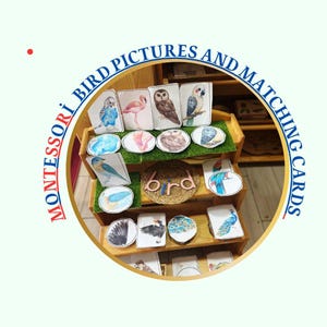 Tarjetas para combinar partes de aves / PDF inspirado en Montessori / Aprende la anatomía de las aves / Actividad visual de ciencias para niños / Tarjetas imprimibles para preescolar