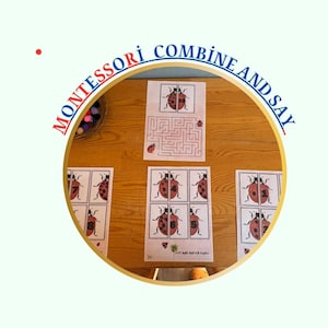 Ladybug Counting and Matching Activity | Cut and Match Numbers 1-10 | Montessori-Inspired Printable PDF for Preschool Kids