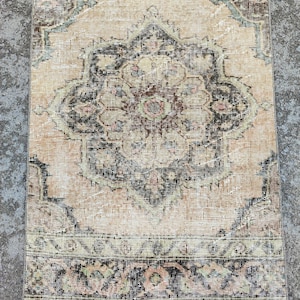 May include: A rectangular, vintage-style rug with a central medallion design. The rug features a beige background with intricate patterns in shades of brown, black, green, and pink. The edges have a detailed border.