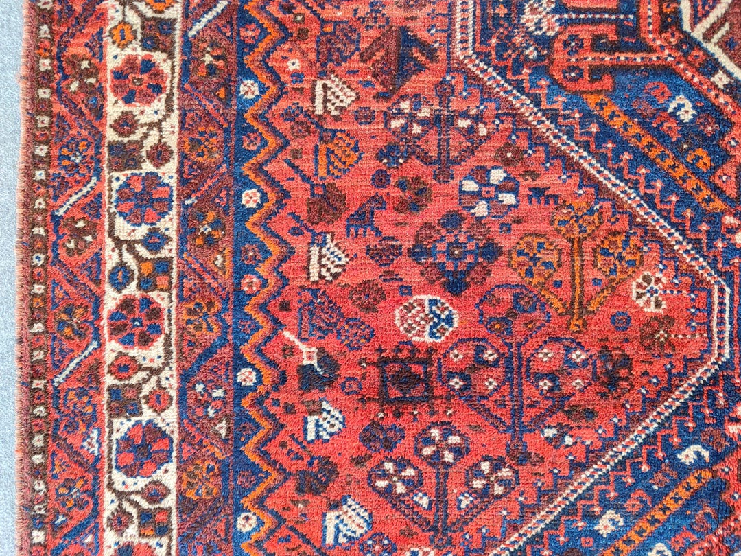 6x7 Rug Coral 6x7 Persian Rug Rare, Antique Shiraz Rug 6x7, Square Rug, Heriz ...