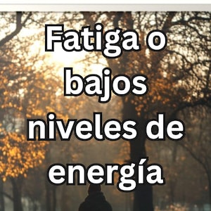 May include: Image of a person sitting on a park bench with text that reads "Fatiga o bajos niveles de energía." The background features trees with autumn foliage. The author's name, Steve McChesney, Ph.D., is at the bottom.