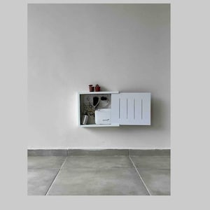 Puede incluir: Un armario blanco de pared con una puerta que se abre para revelar un router y otros cables. Hay dos pequeñas plantas en maceta en la parte superior del armario.