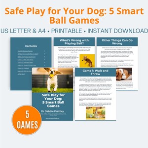 May include: A printable guide with the title "Safe Play for Your Dog: 5 Smart Ball Games" featuring a blue background with a white circle containing the text "5 GAMES". The guide includes information on safe ball play for dogs, including tips on how to avoid injuries and how to play different games.