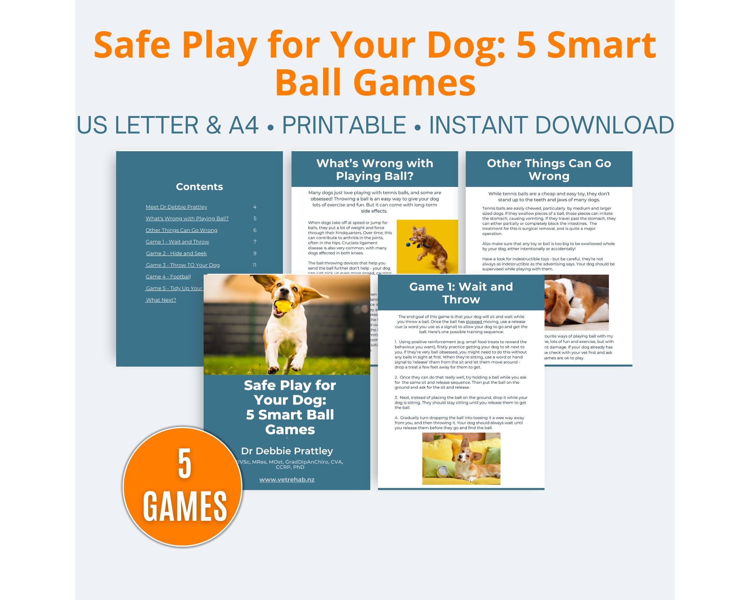 Safe Ball Games to Play With Your Dog, Printable Digital Download