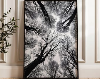 Abstract Black & White Tree Branch Canvas Print - Modern Minimalist Wall Art