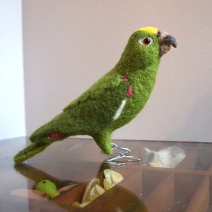 Mr. Yellow Crowned Parrot, needle felted bird, wool fiber art bird sculpture