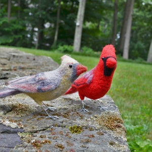 Mr. OR Mrs Cardinal and family, needle felted bird fiber art image 8