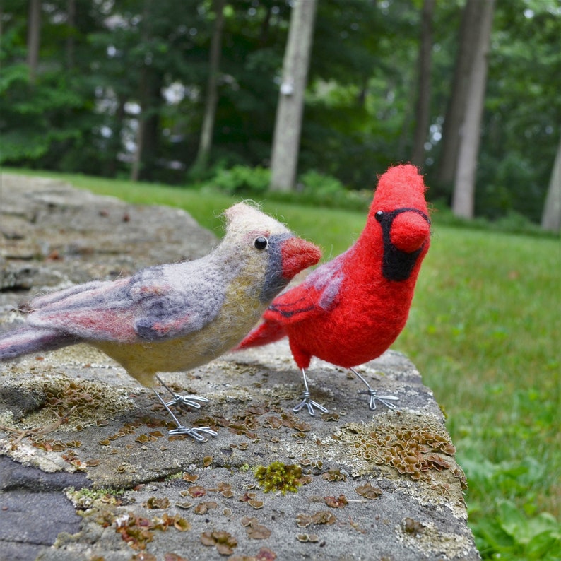 Mr. OR Mrs Cardinal and family, needle felted bird fiber art image 8