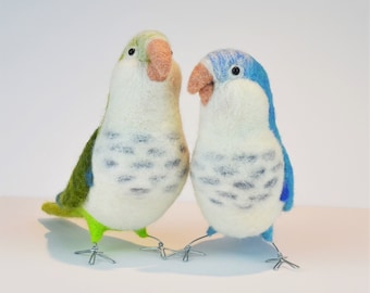 Mr. Green OR Blue Faced Quaker Parrot, needle felted bird sculpture