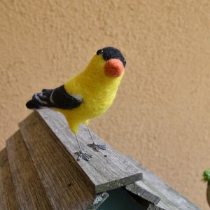 Mr. American Goldfinch, needlefelted bird art