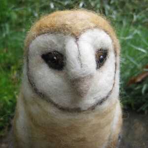 Mr. Barn Owl, needle felted bird sculpture image 4