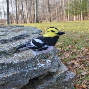 Mr. Golden Cheeked Warbler, needle felted wool endangered bird art sculpture image 3