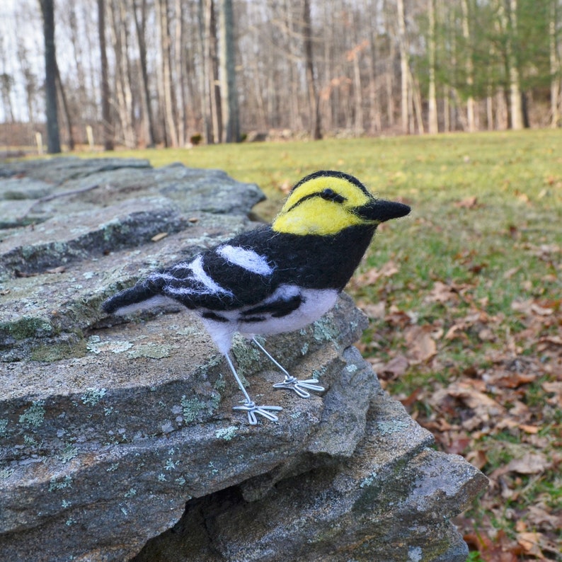 Mr. Golden Cheeked Warbler, needle felted wool endangered bird art sculpture image 3
