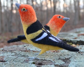 Mr. Western Tanager, needle felted bird sculpture