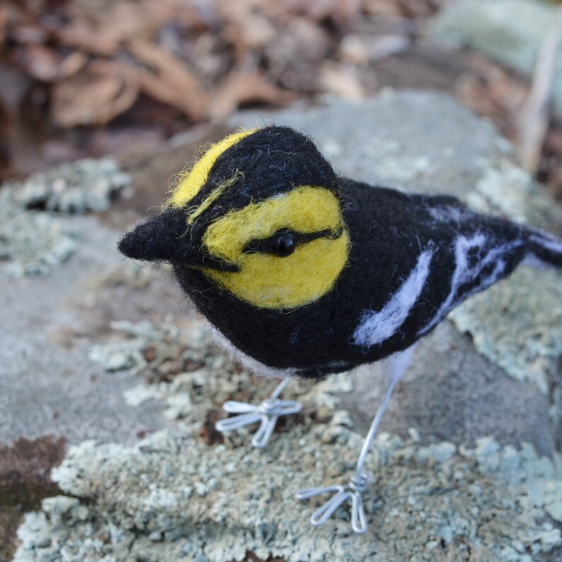 Mr. Golden Cheeked Warbler, needle felted wool endangered bird art sculpture image 5