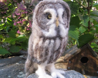 Mr. Great Grey Owl, needle felted bird fiber art