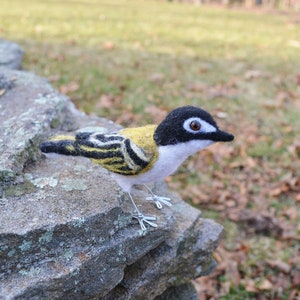 Mr. Black capped Vireo, needle felted wool endangered bird art sculpture image 6