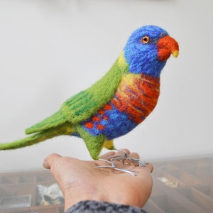 Mr. Rainbow Lorikeet Life Size Needle Felted Bird Fiber - Etsy