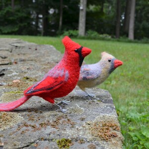 Mr. OR Mrs Cardinal and family, needle felted bird fiber art image 7