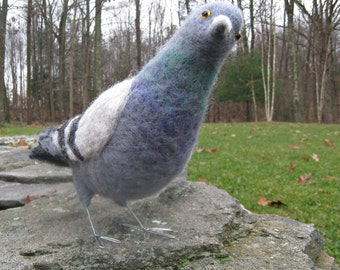 Mr. Rock Pigeon, needle felted bird art sculpture