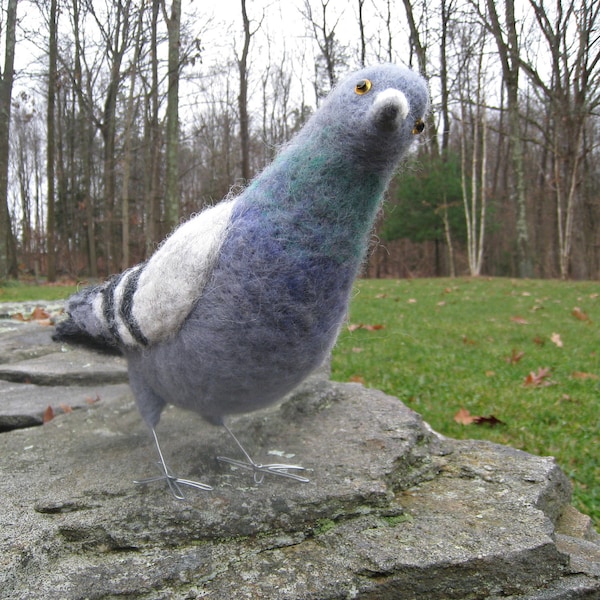 Mr. Rock Pigeon, needle felted bird art sculpture