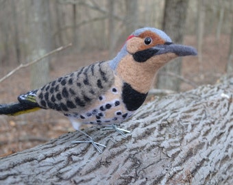 Mr. Northern Flicker, needle felted bird fiber art sculpture