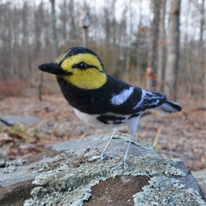 Mr. Golden Cheeked Warbler, needle felted wool endangered bird art sculpture image 6