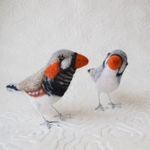 Mr. or Mrs. Zebra Finch, needle felted pet bird sculpture image 5