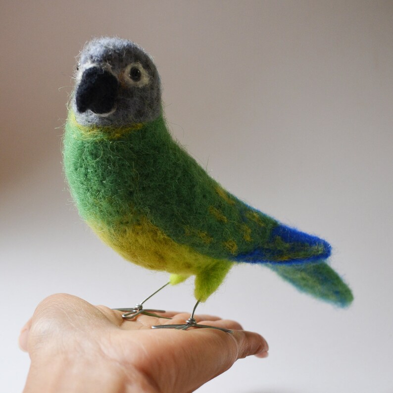 Mr. Dusty Conure, needle felted bird fiber art image 2