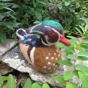 Mr. Wood Duck, needle felted bird sculpture image 2
