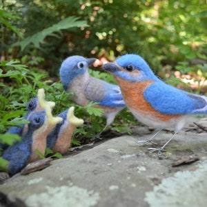 Bluebird family, needle felted bird sculpture image 2