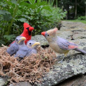 Mr. OR Mrs Cardinal and family, needle felted bird fiber art image 4