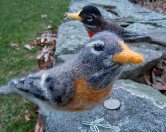 Mr. or Mrs. American Robin, needle felted bird art fiber sculpture