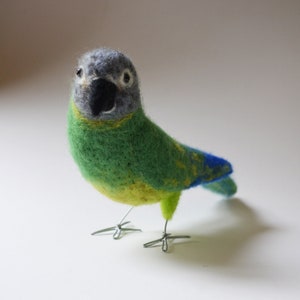 Mr. Dusty Conure, needle felted bird fiber art image 1