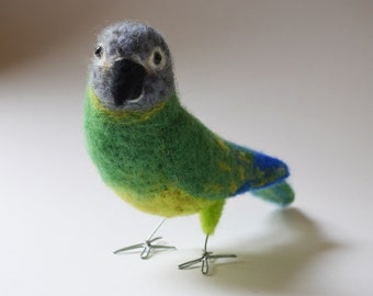 Mr. Dusty Conure, needle felted bird fiber art