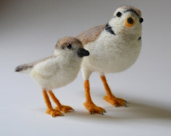 Piping Plover and chick, needle felted birds sculpture