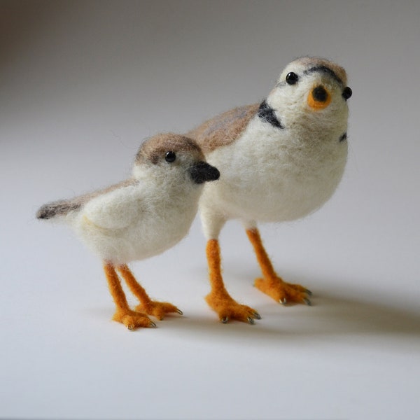 Piping Plover and chick, needle felted birds sculpture