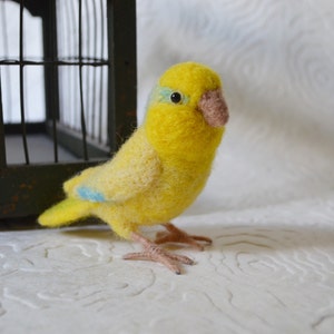 Mr. Yellow Parrotlet with wool legs and feet, needle felted bird, wool fiber art bird sculpture image 4