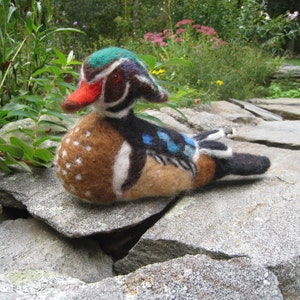 Mr. Wood Duck, needle felted bird sculpture image 1