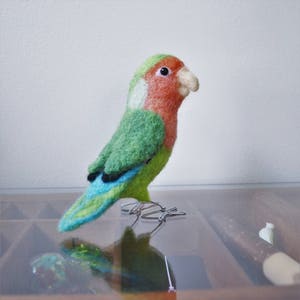 Mr. Peach faced lovebird, needle felted bird art fiber sculpture image 1