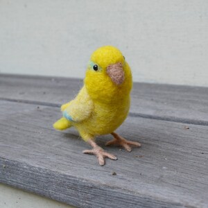 Mr. Yellow Parrotlet with wool legs and feet, needle felted bird, wool fiber art bird sculpture image 1