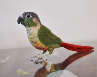 Mr. Green Cheeked Conure, life size needle felted bird fiber sculpture