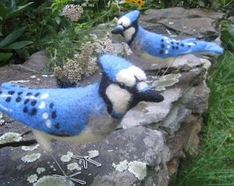 Mr. Blue Jay, needle felted bird art sculpture