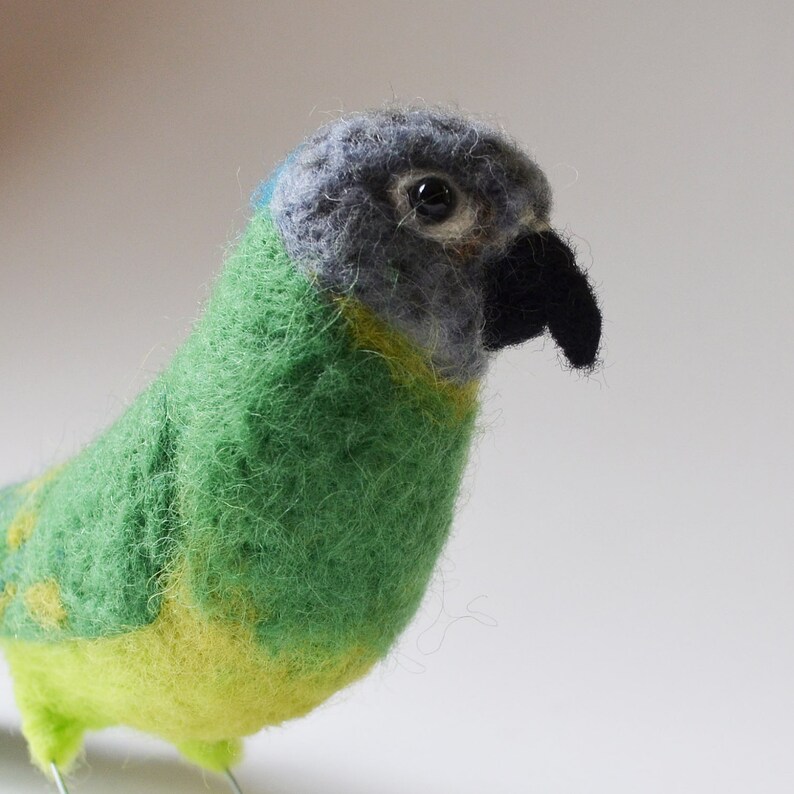 Mr. Dusty Conure, needle felted bird fiber art image 5