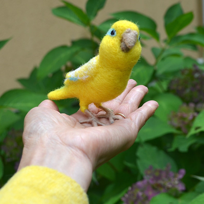 Mr. Yellow Parrotlet with wool legs and feet, needle felted bird, wool fiber art bird sculpture image 7