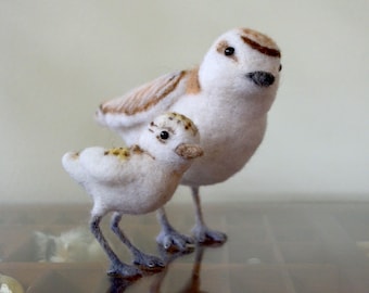 Snowy Plover and chick, needle felted birds sculpture