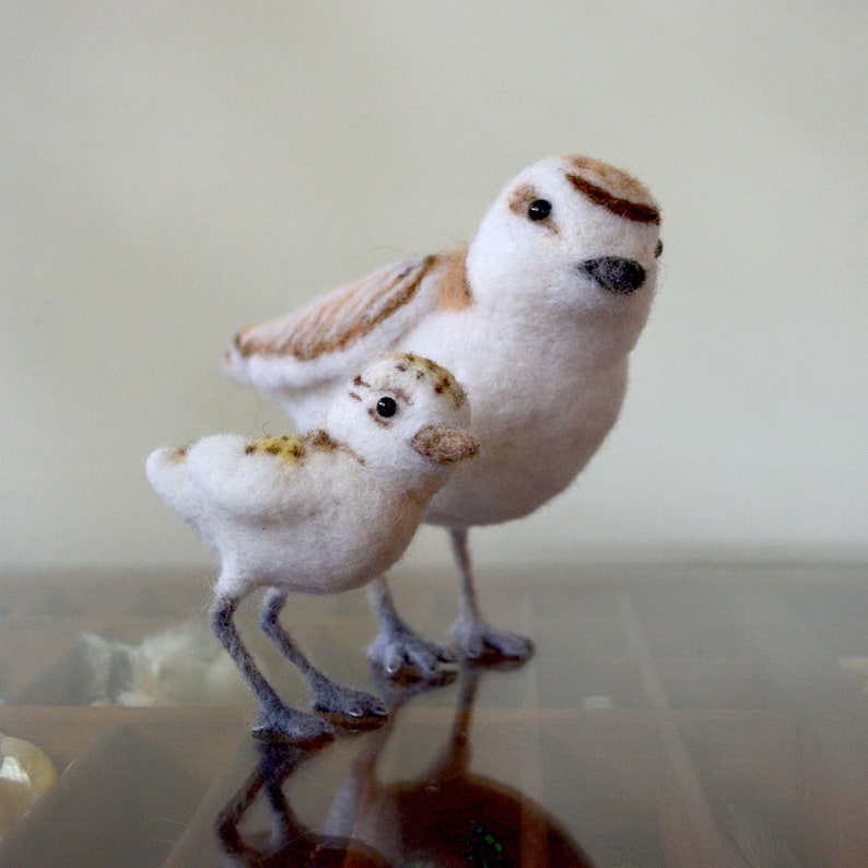 Snowy Plover and chick, needle felted birds sculpture image 1