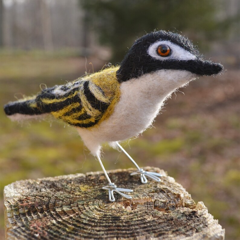 Mr. Black capped Vireo, needle felted wool endangered bird art sculpture image 7