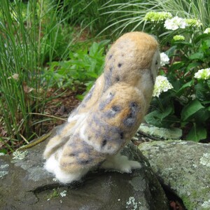 Mr. Barn Owl, needle felted bird sculpture image 3